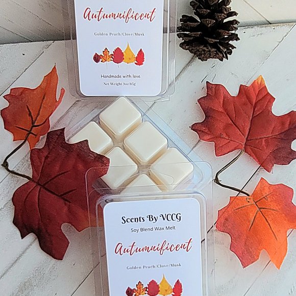Autumnificent Soyblend Wax Melt - Picture 3 of 3